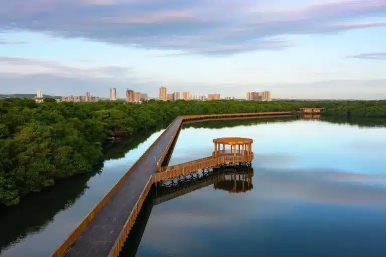 The Ciénaga de Mallorquín Ecopark opens this week