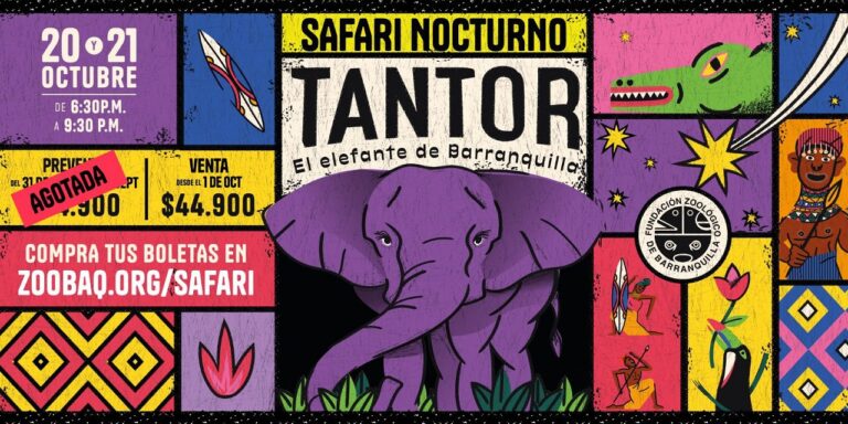Night Safari 2023: Barranquilla Zoo