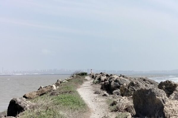 Bocas de Cenizas Tour Barranquilla: Where the River Meets the Sea (2026)