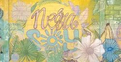 Dancing in Barranquilla: Salsa, Cumbia, Champeta & Where to Learn (2026)