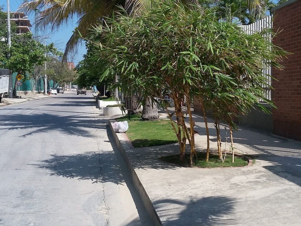 A typical residential street in Barranquilla