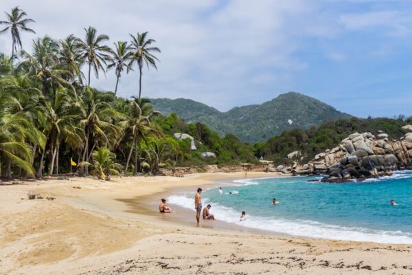 Mallorquin Eco Park Tour Barranquilla: Mangroves & Wildlife (2026)