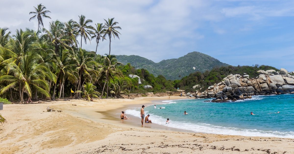 Mallorquin Eco Park Tour Barranquilla: Mangroves & Wildlife (2026)
