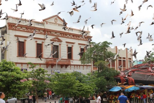 Bocas de Cenizas Tour Barranquilla: Where the River Meets the Sea (2026)