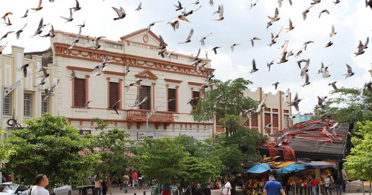 Bocas de Cenizas Tour Barranquilla: Where the River Meets the Sea (2026)